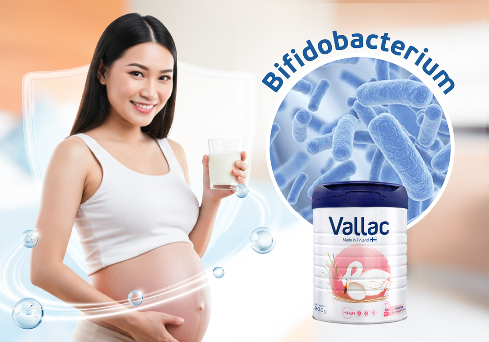 bifidobacterium-trong-sua-bau-1